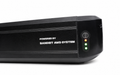 Rear Battery 48v 20AH X-Trail Pro